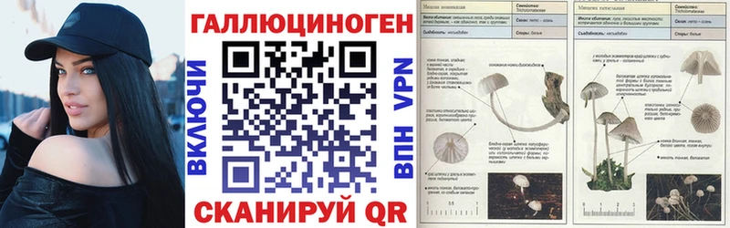 Псилоцибиновые грибы мицелий  Бородино 